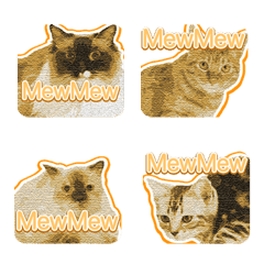 Lovely Cats Emoji