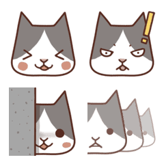 Stray cat hatchi emoji