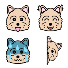 Emoji of Norwich Terrier Dog "Cookie"