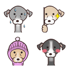 The Italian Greyhound festival Emoji