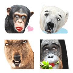 annoying animal emoji