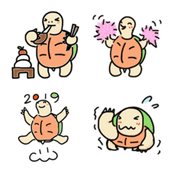 baku  of turtle