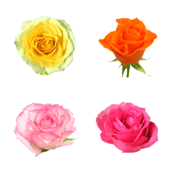 Flower Emoji Roses Part2