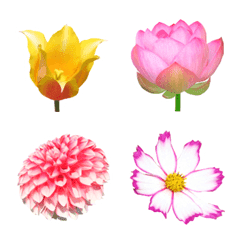 Flower Emoji Various flowers!