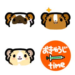 guineapig3 Emoji