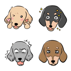 dachshund  Expression sticker