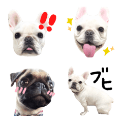Frenchbulldog Momoko Emoji