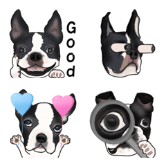 Boston Terrier Dog Emoji