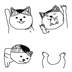 pokefasu scribbling cat