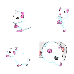 Lovely hamster1