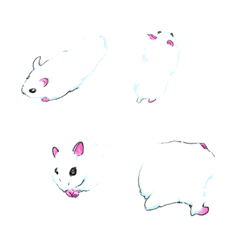 Lovely hamster