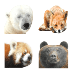 animal photo emoji