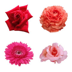 Colorful flower photo emoji