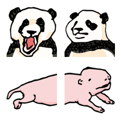 Zoo 2 / Panda