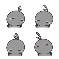 rabbit - staring - staring