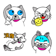 Cute Siamese cat Emoji
