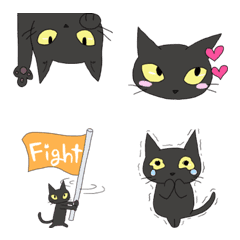 black cat face variation