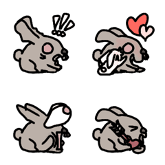 rabbit party
