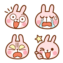 USAPIN's "emoji"