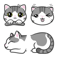 Kamela-cat-emoji