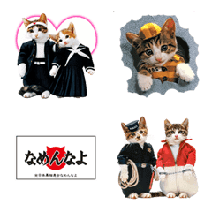 なめ猫 絵文字 Line絵文字 Line Store なめ猫 絵文字 Line絵文字 Line Store