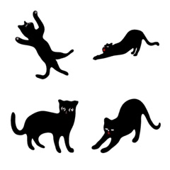 Black cat dancing tango.