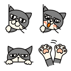 Black and white hairy cat's emoji