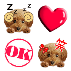 toy poodle LUCK emoji
