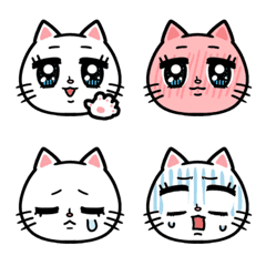 Cat of clear eyes  -basic-
