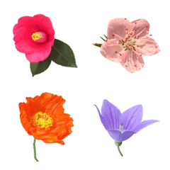 Flowers to accompany adult sentences