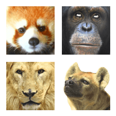 animal photo emoji 2