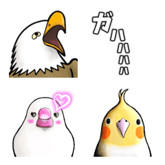 various birds