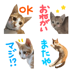 Torajiro emoji sticker