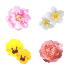 お花-Flower-