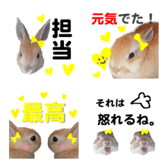 WE LOVE Yellow Rabbit