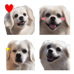Pekichs Kotaro Emoji