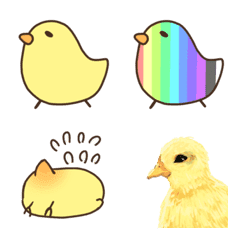 Color Chick