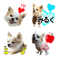 chiwawa milk emoji