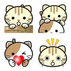 Nyan Kitten Emoji