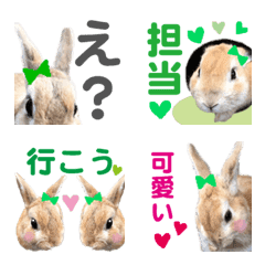 WE LOVE Green Rabbit