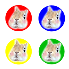 WE LOVE Rabbit ALL COLOR