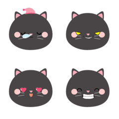 Cute Cute Black Cat