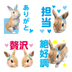 WE LOVE Sky-blue Rabbit