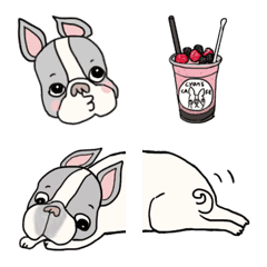 Cyan's emoji of French bulldog