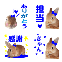WE LOVE Blue Rabbit again