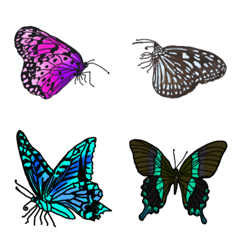 Mysterious Butterflies