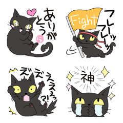 black cat face variation and one phrase2