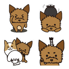 Yorkshire Terrier and family's Emoji