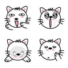 Momo cute cat