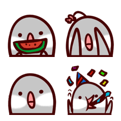 小胖鳥